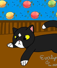 Diamond Cat Diamond Cat